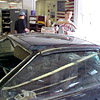 Firebird Picture 1