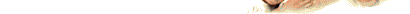 banner bottom