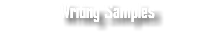 Writing Samples